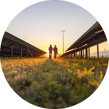 Two people walking toward a sunset between rows of solar panels